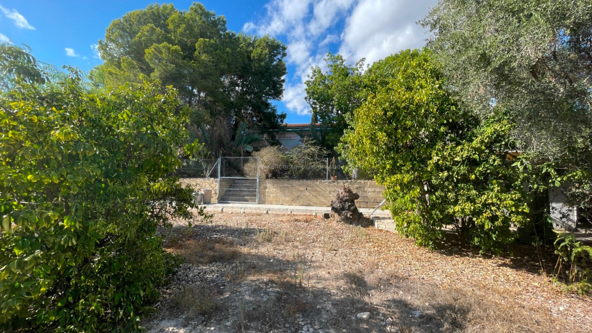 Country House in Albatera Centro