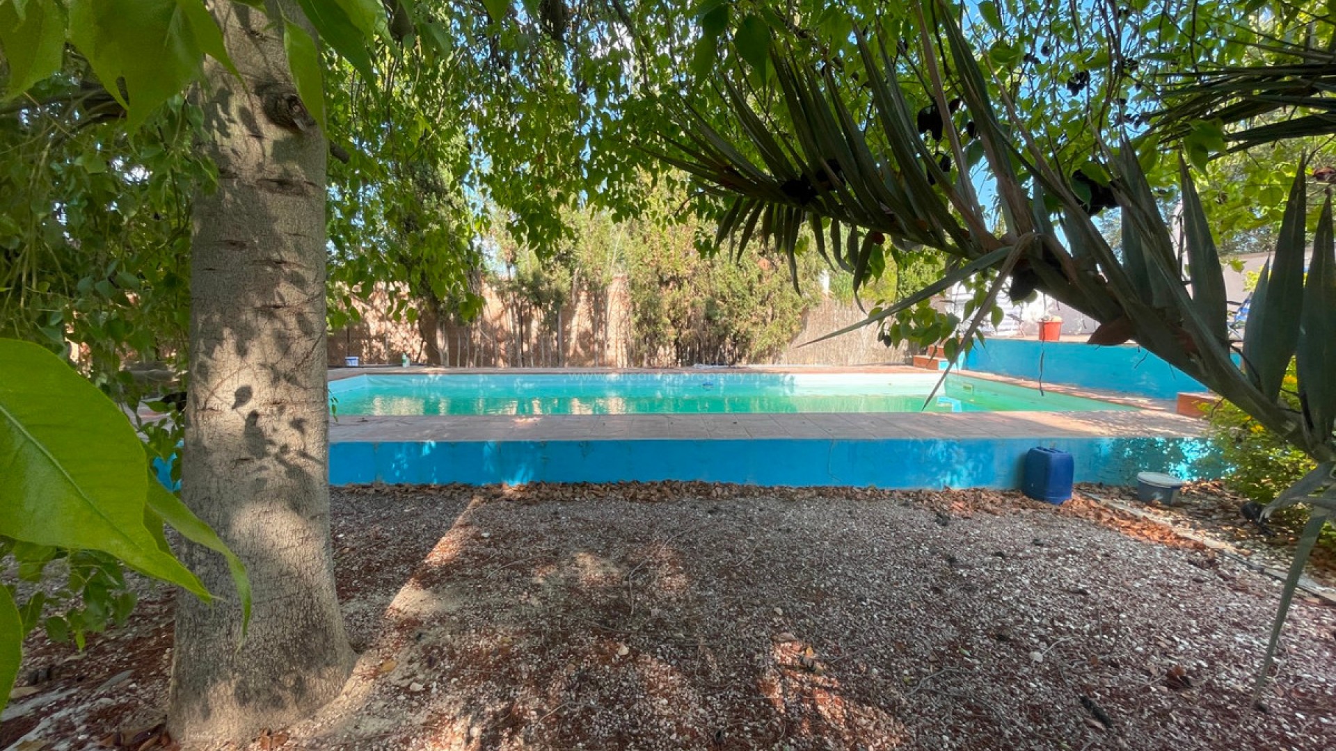 Country House in Albatera Centro