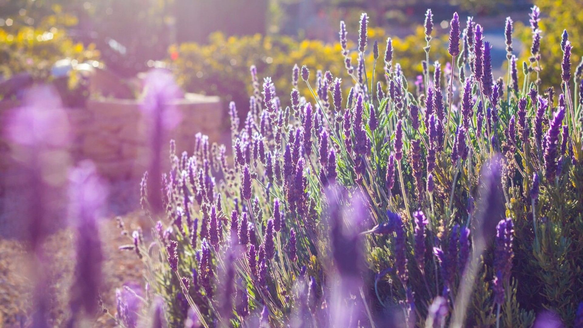 Country House in Benissa Centro