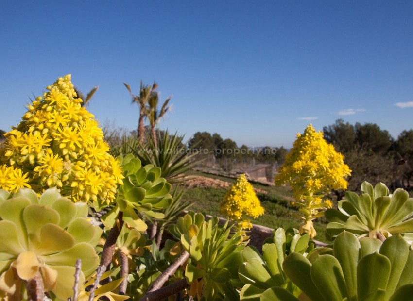 Country House in Benissa Centro
