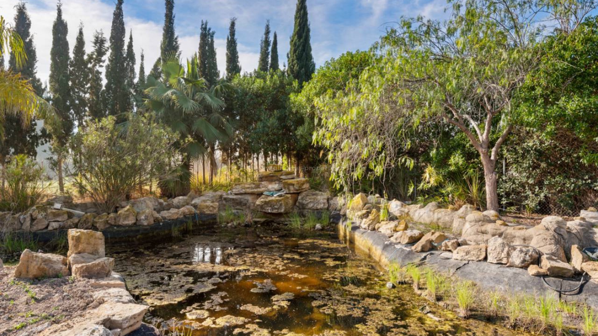 Country House in Catral