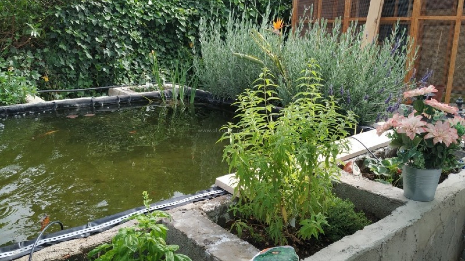 Country House in Crevillente - Crevillent Centro