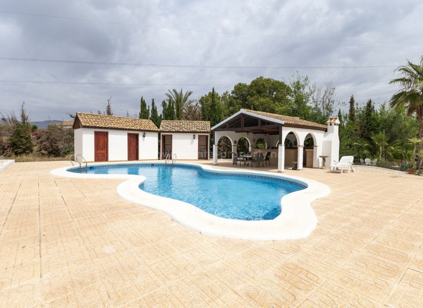 Country House in Crevillente