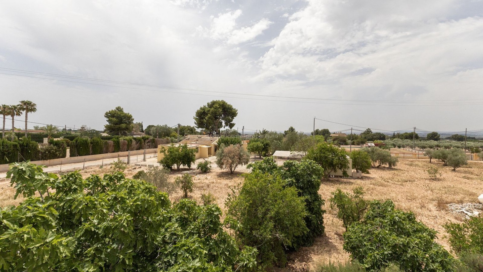 Country House in Crevillente