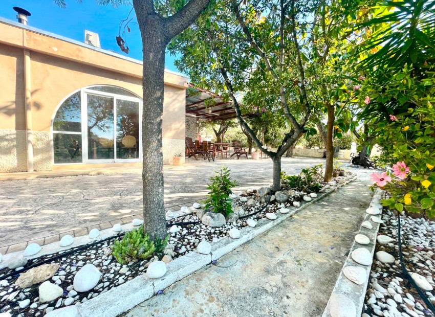 Country House in Crevillente