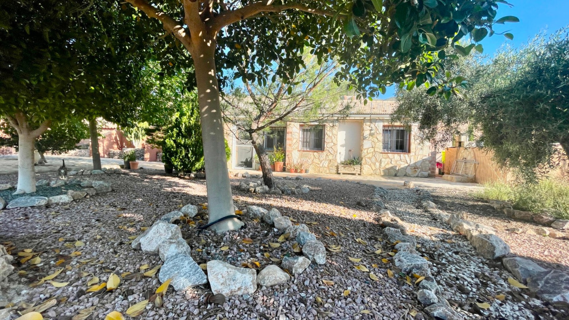 Country House in Crevillente