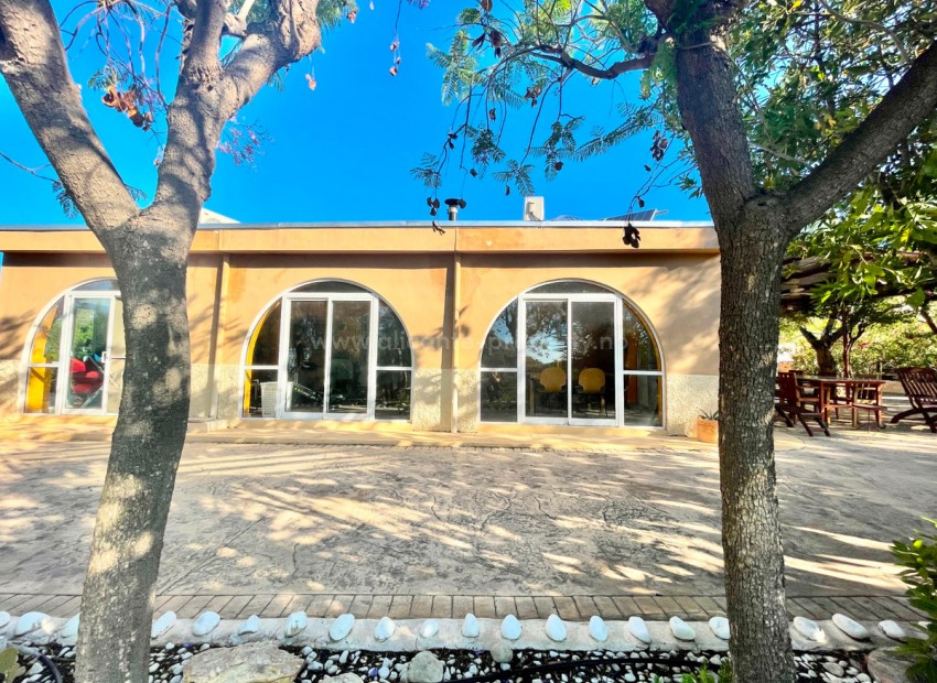 Country House in Crevillente