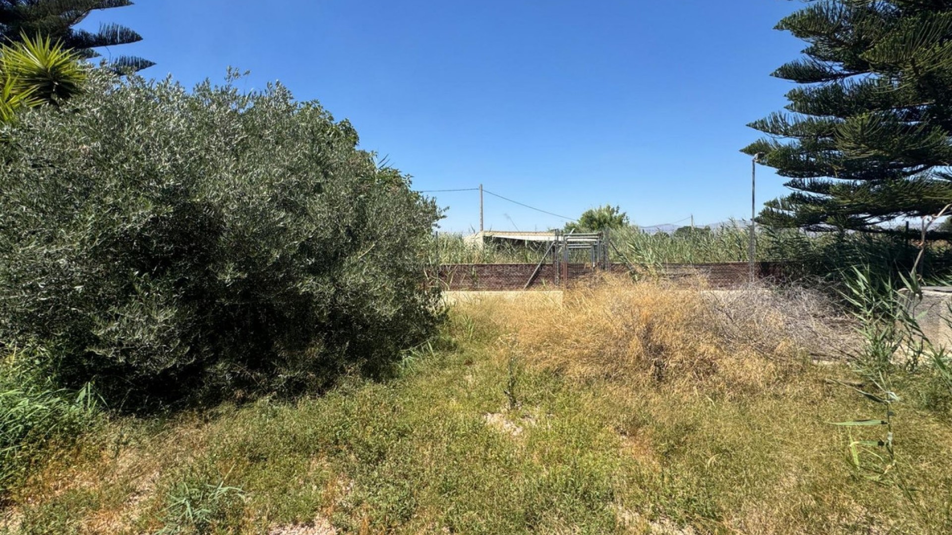 Country House in Dolores Centro
