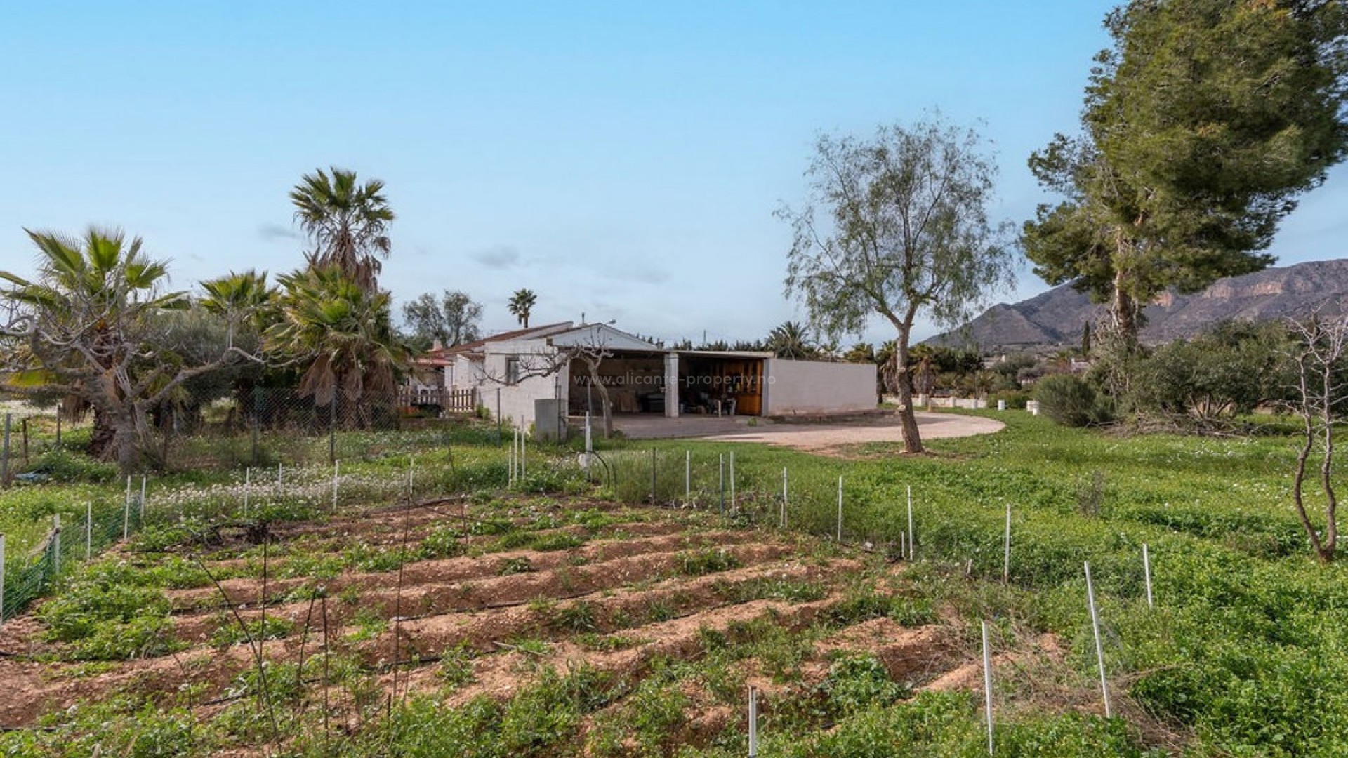 Country House in Hondón de las Nieves Centro