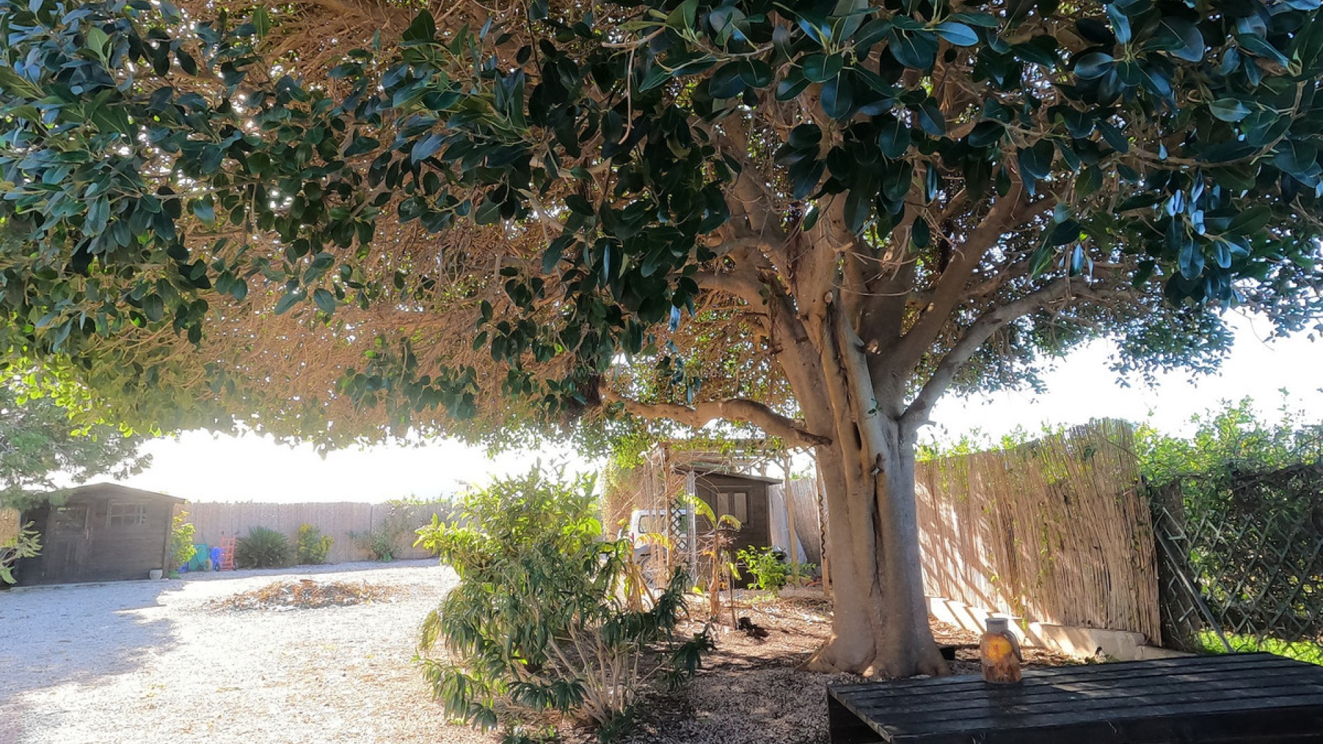 Country House in La Campaneta