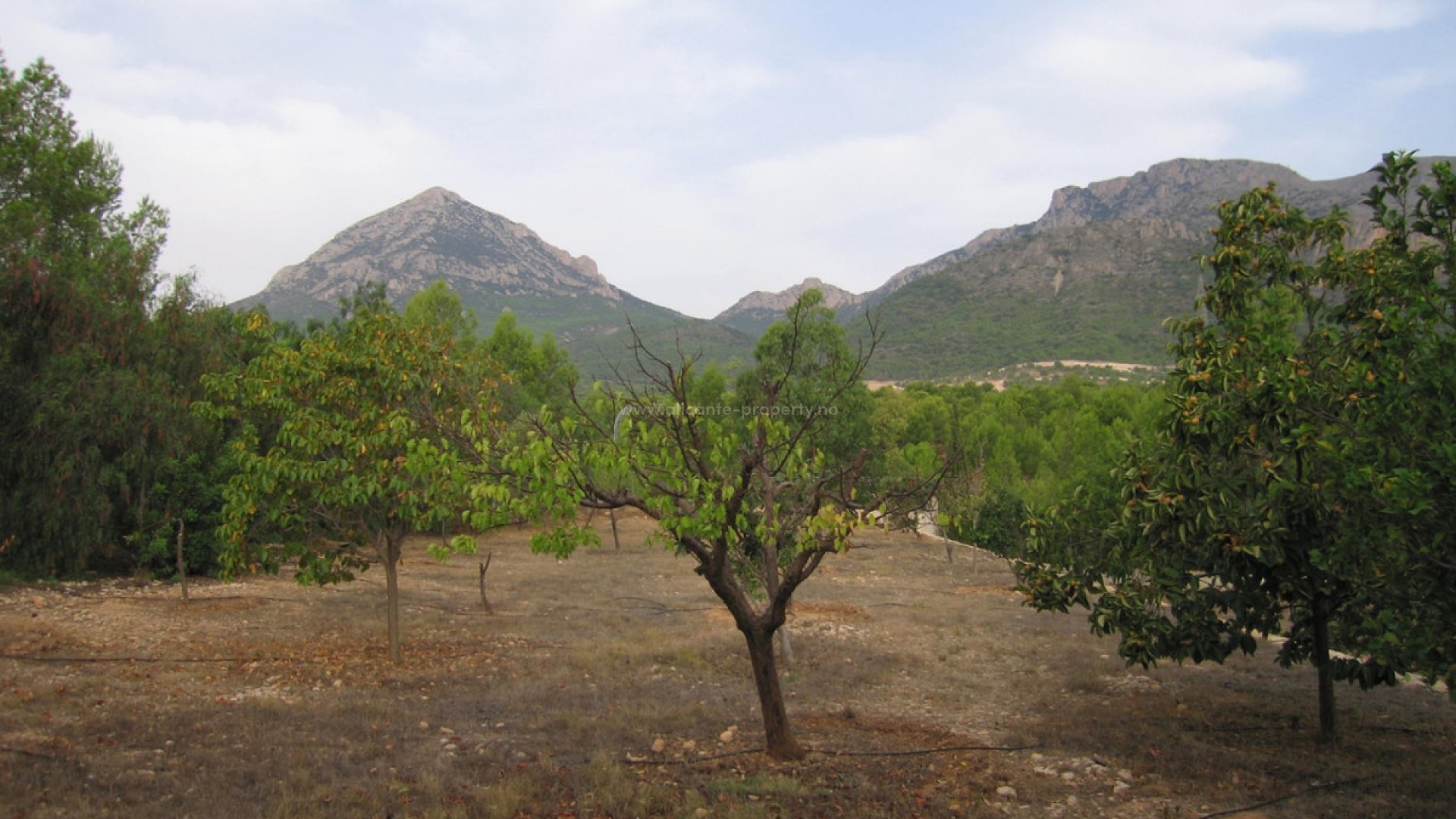 Country House in La Nucia Centro