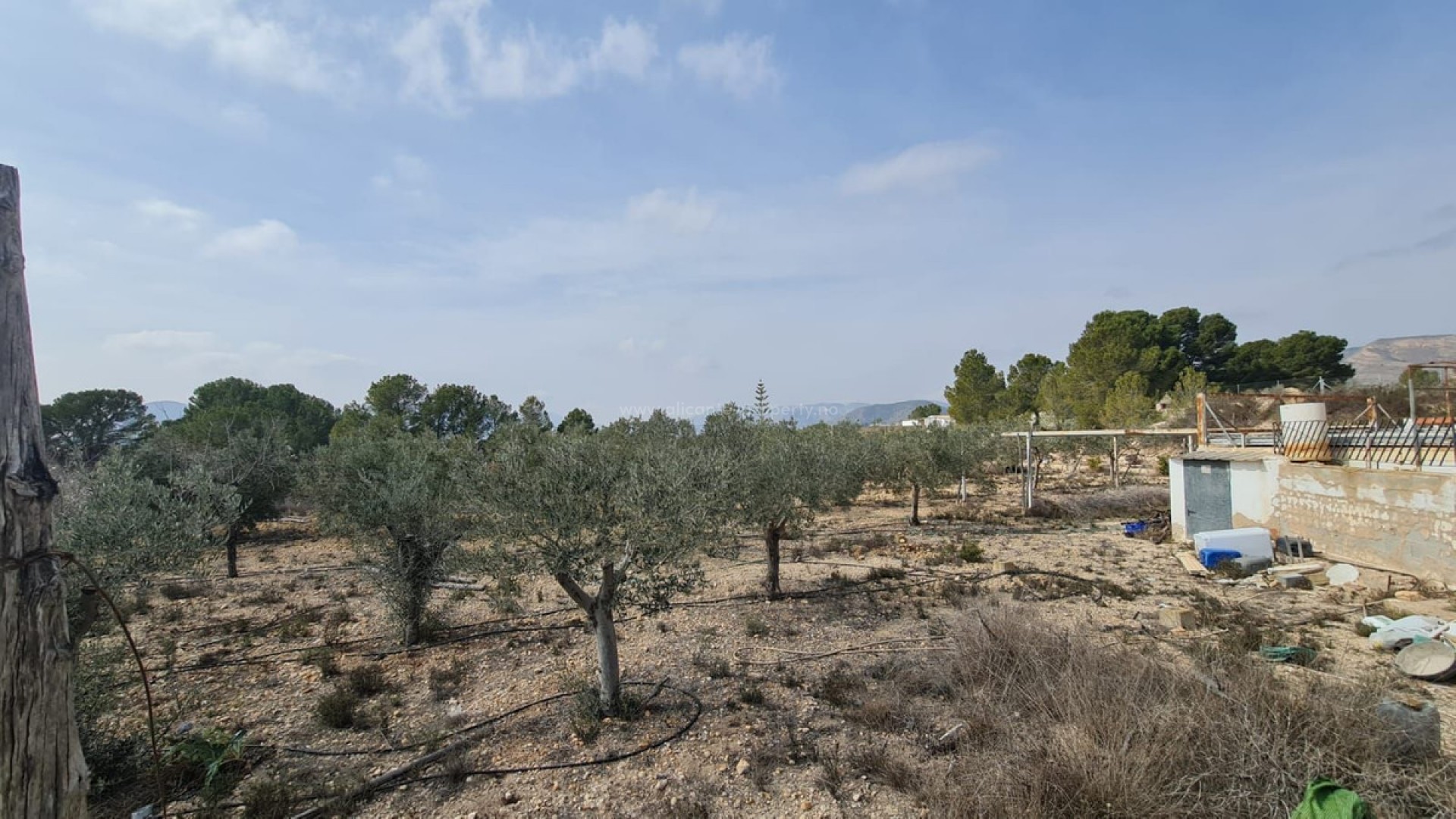 Country House in La Romana Centro