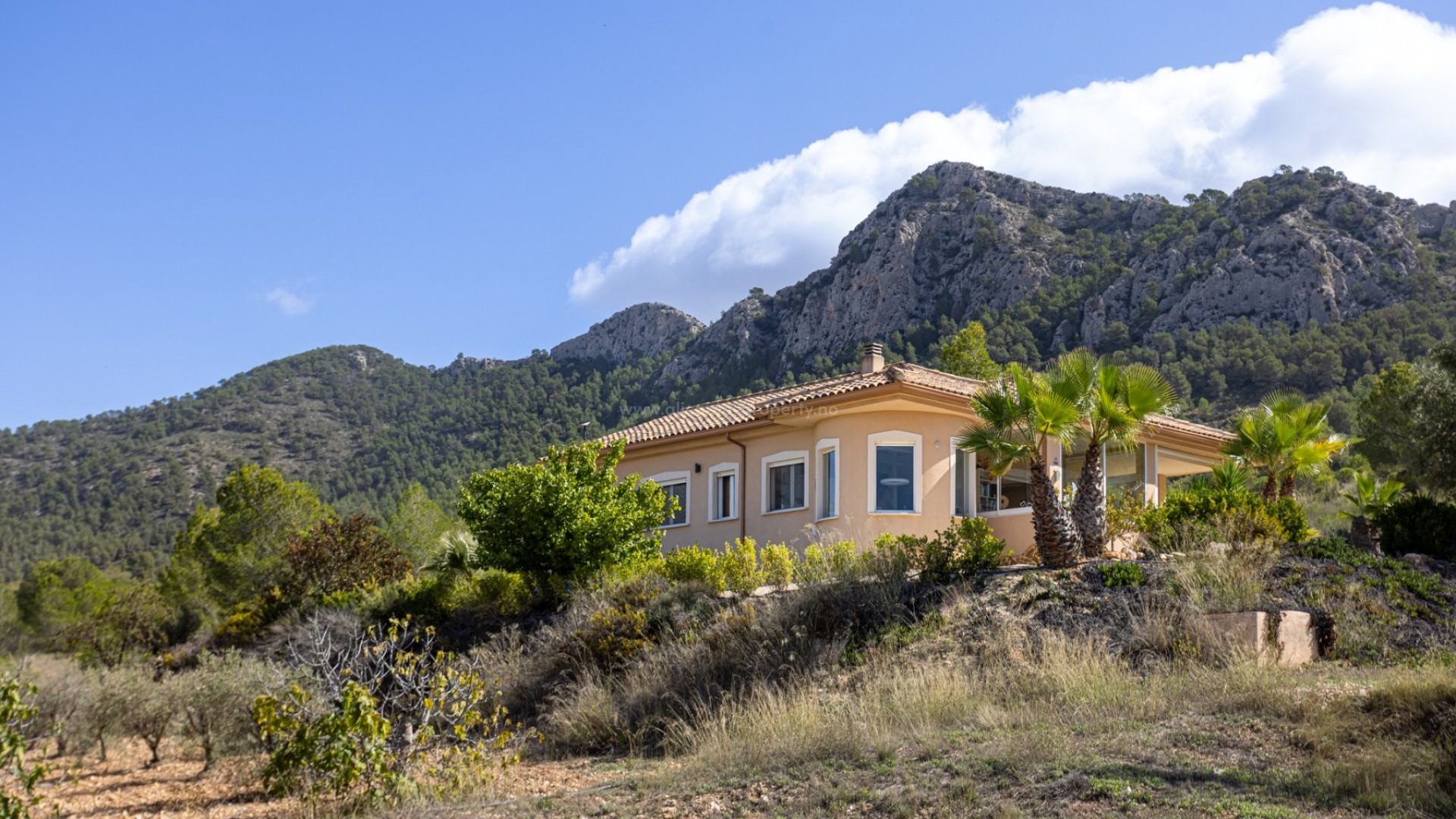 Country House in La Zarza Murcia