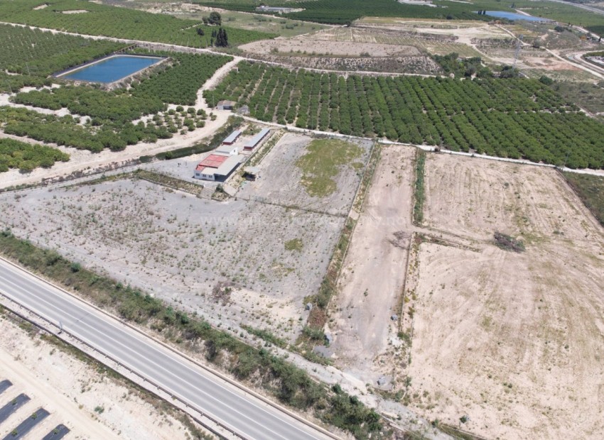 Country House in Los Montesinos Centro