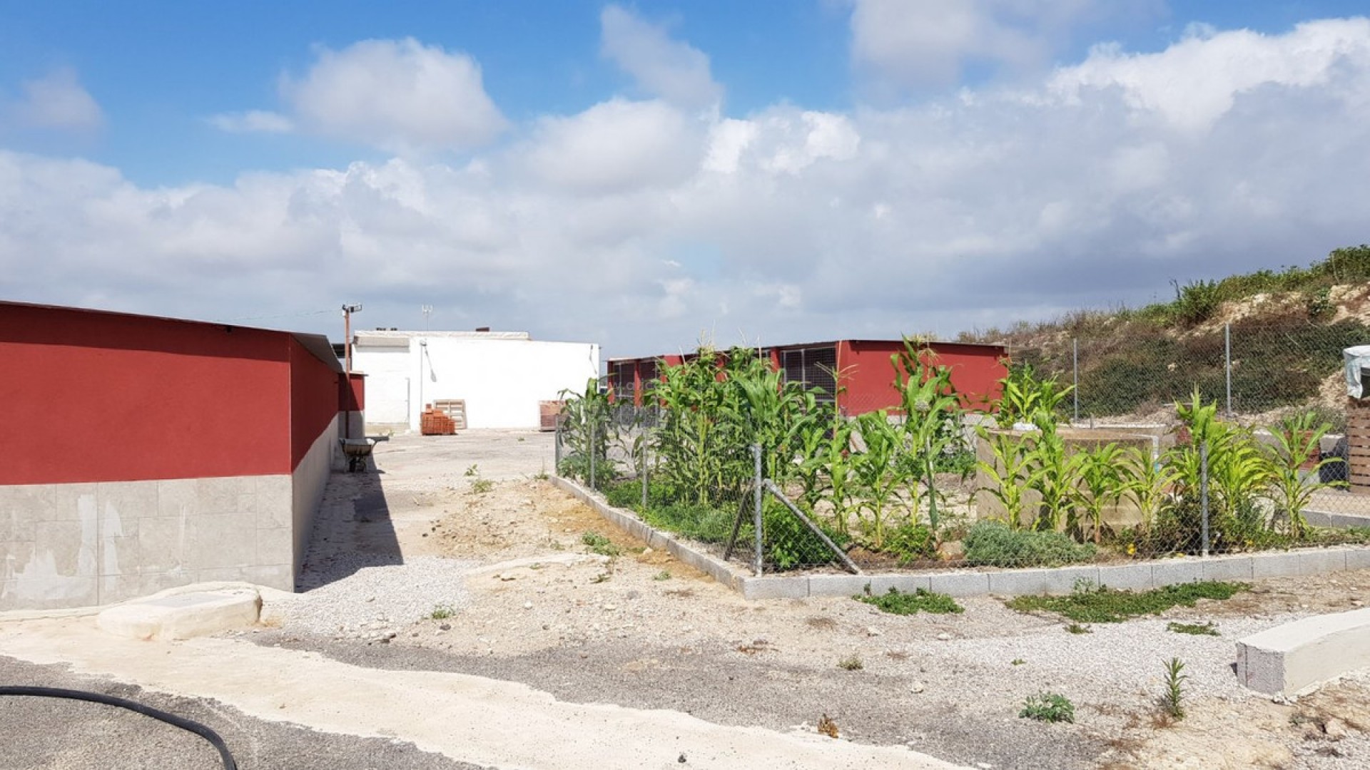 Country House in Los Montesinos Centro