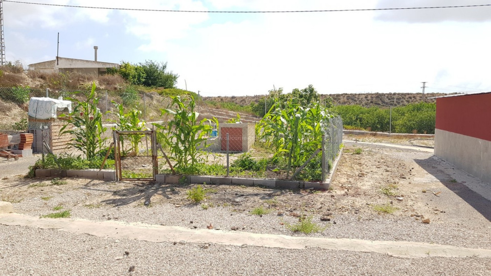 Country House in Los Montesinos Centro