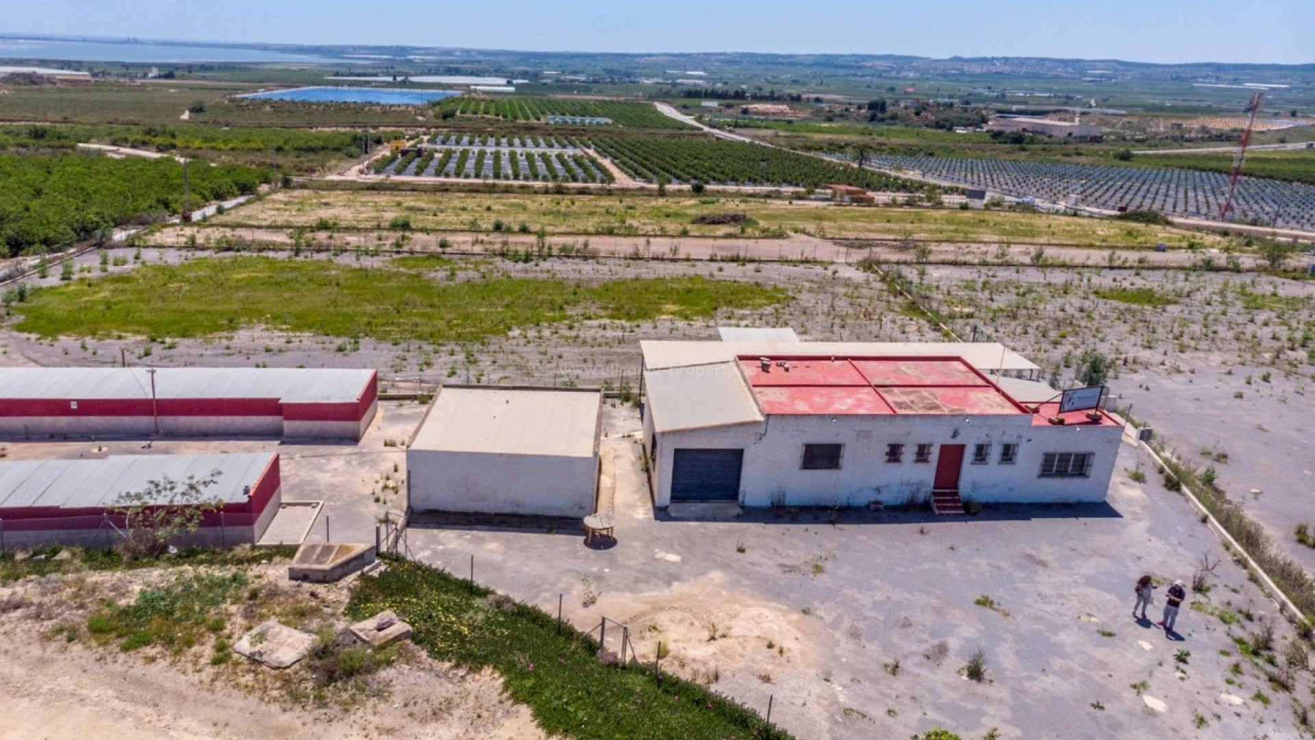Country House in Los Montesinos Centro