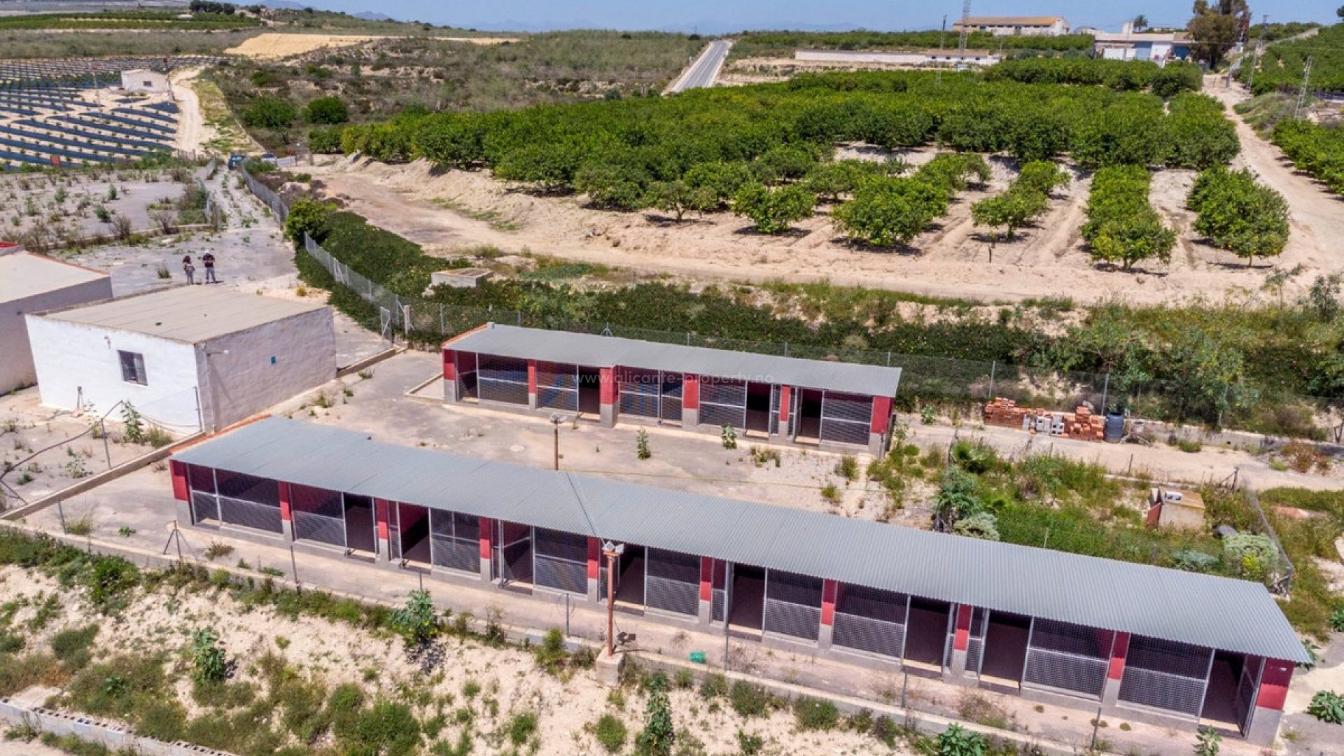 Country House in Los Montesinos Centro