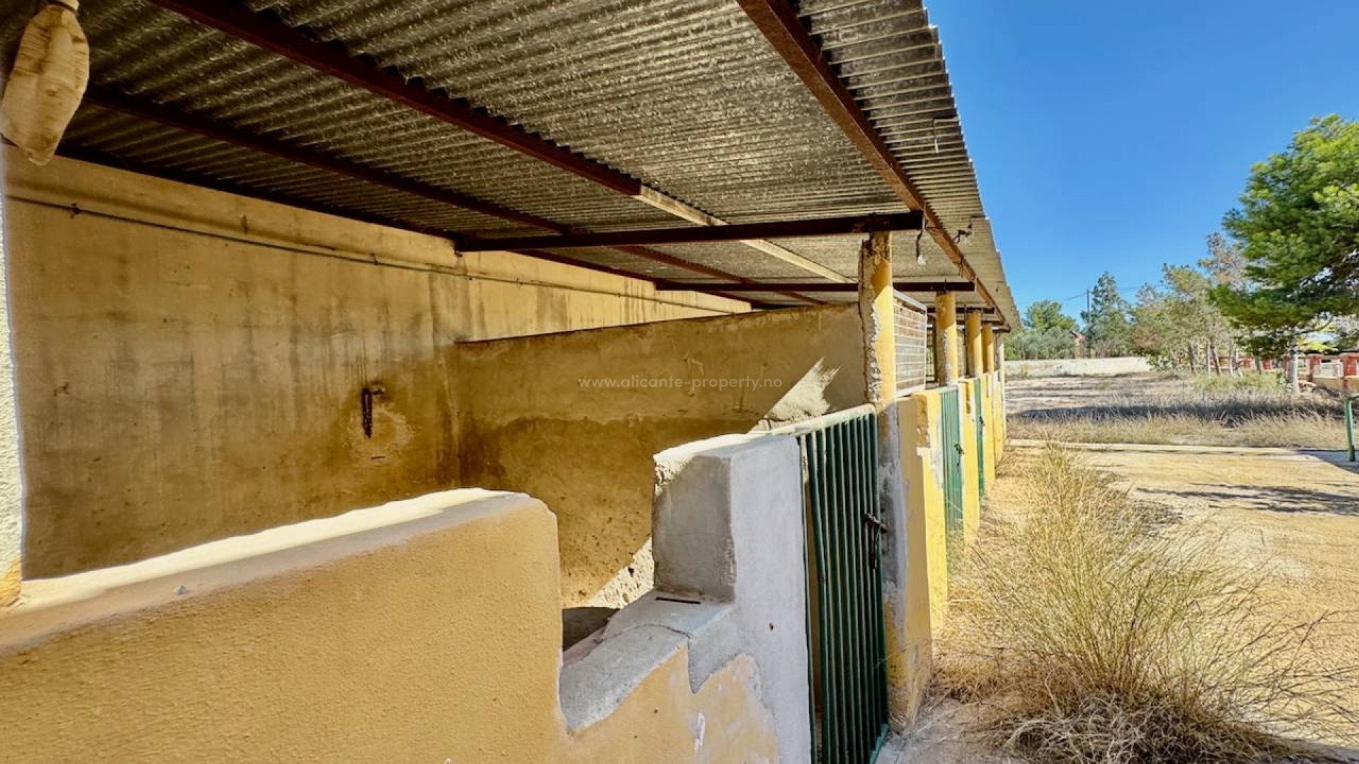 Country House in Los Montesinos