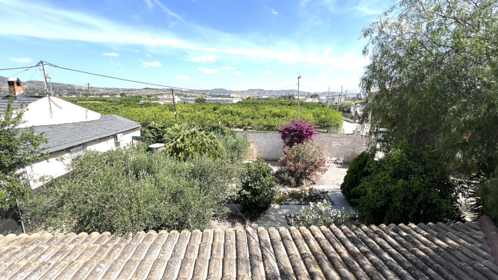 Country House in Orihuela Centro