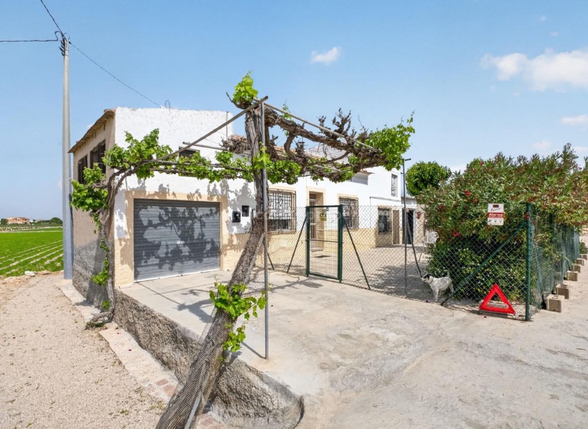 Country House in Orihuela Centro