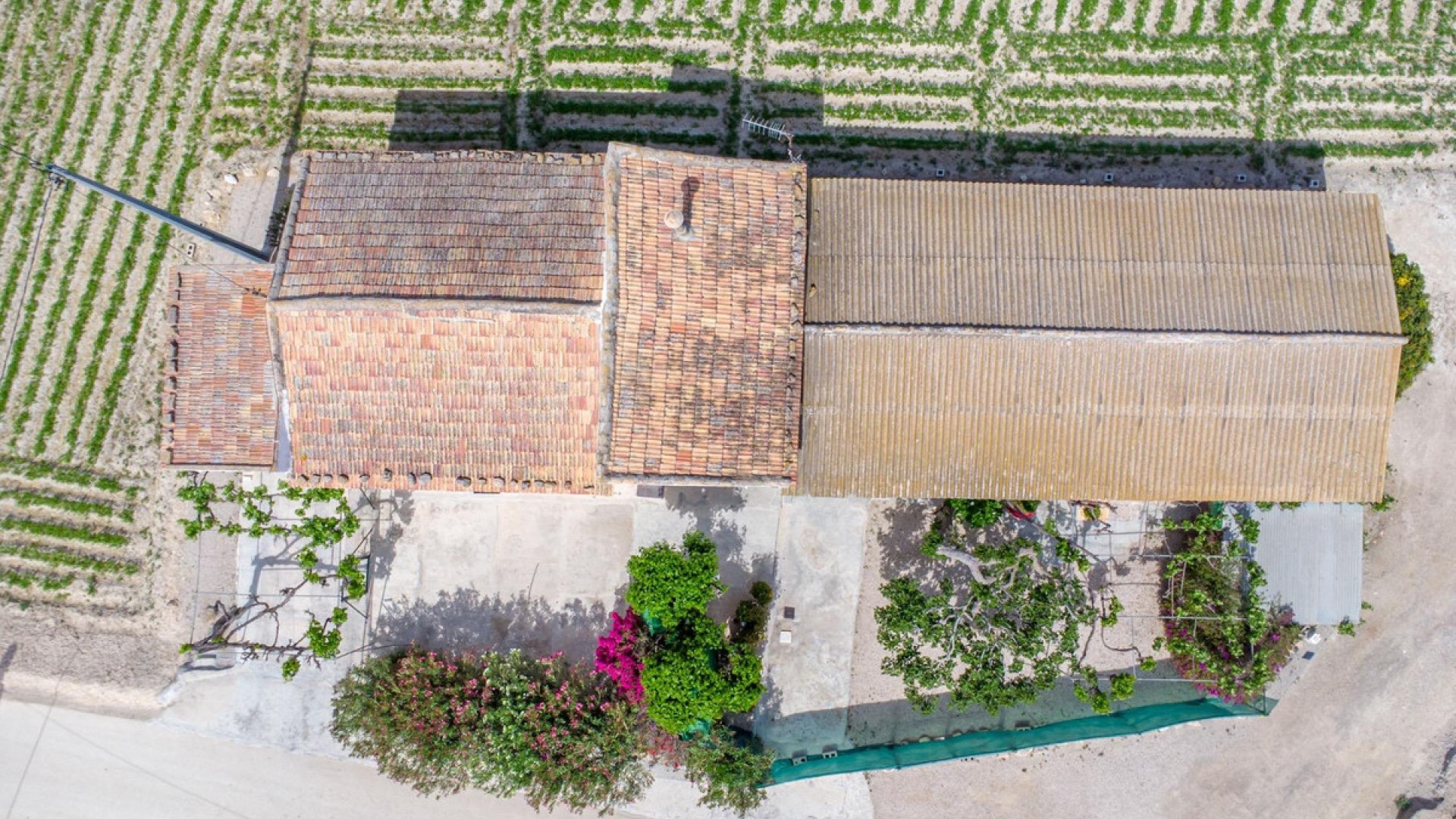 Country House in Orihuela Centro