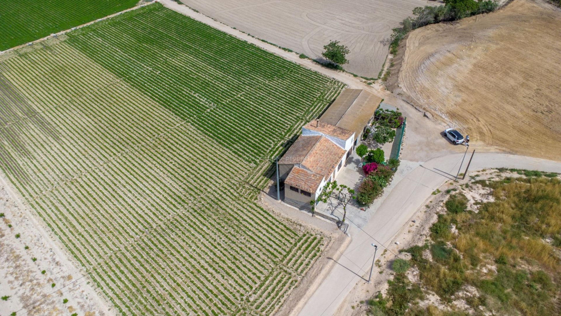 Country House in Orihuela Centro