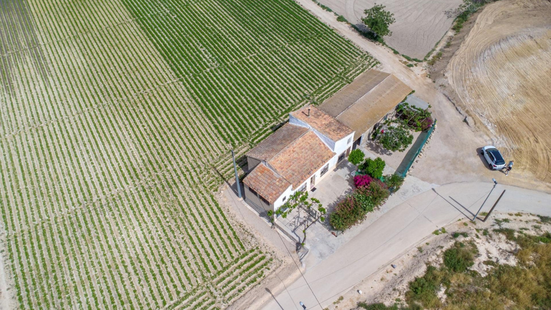 Country House in Orihuela Centro