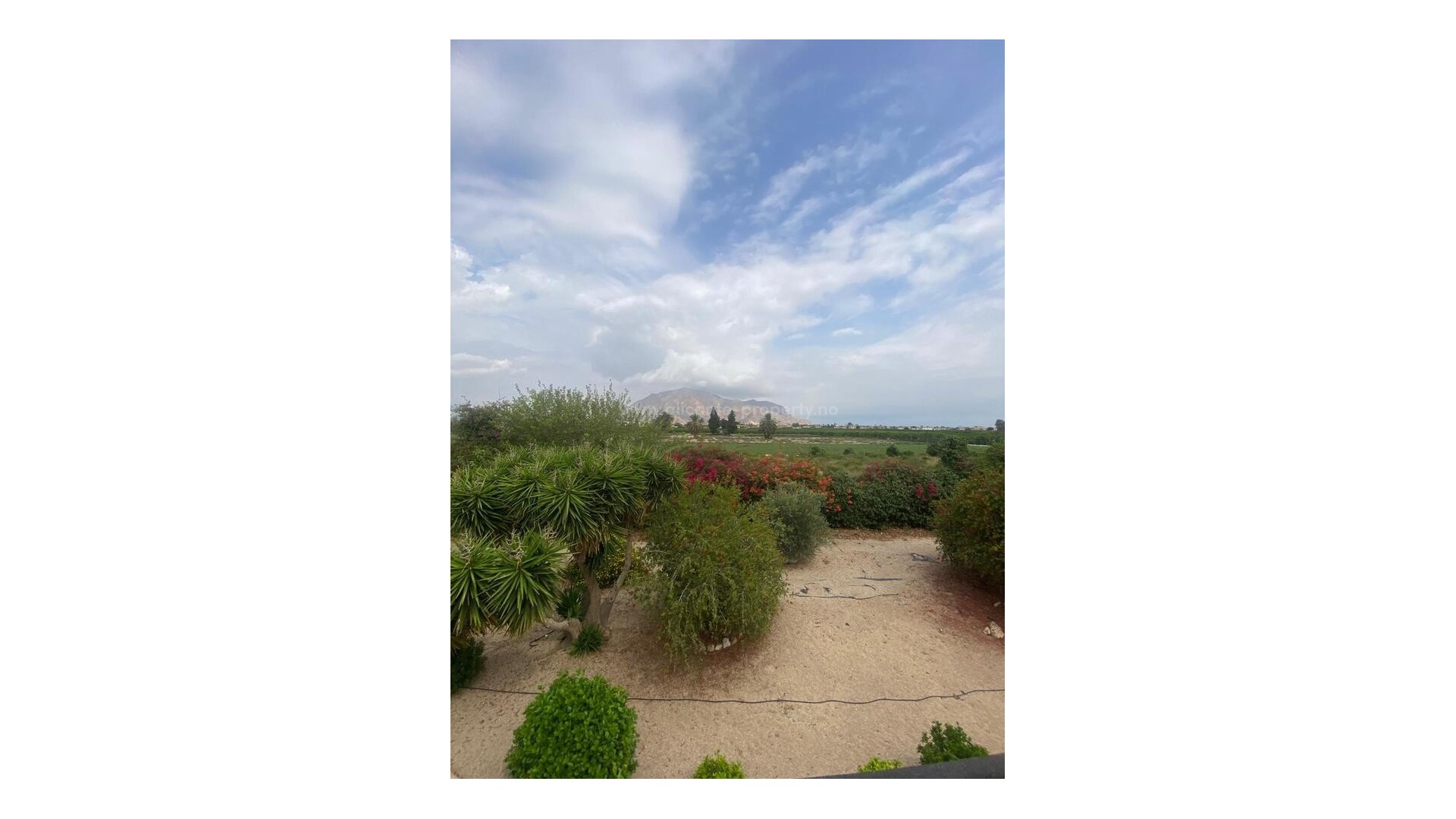 Country House in Orihuela Centro