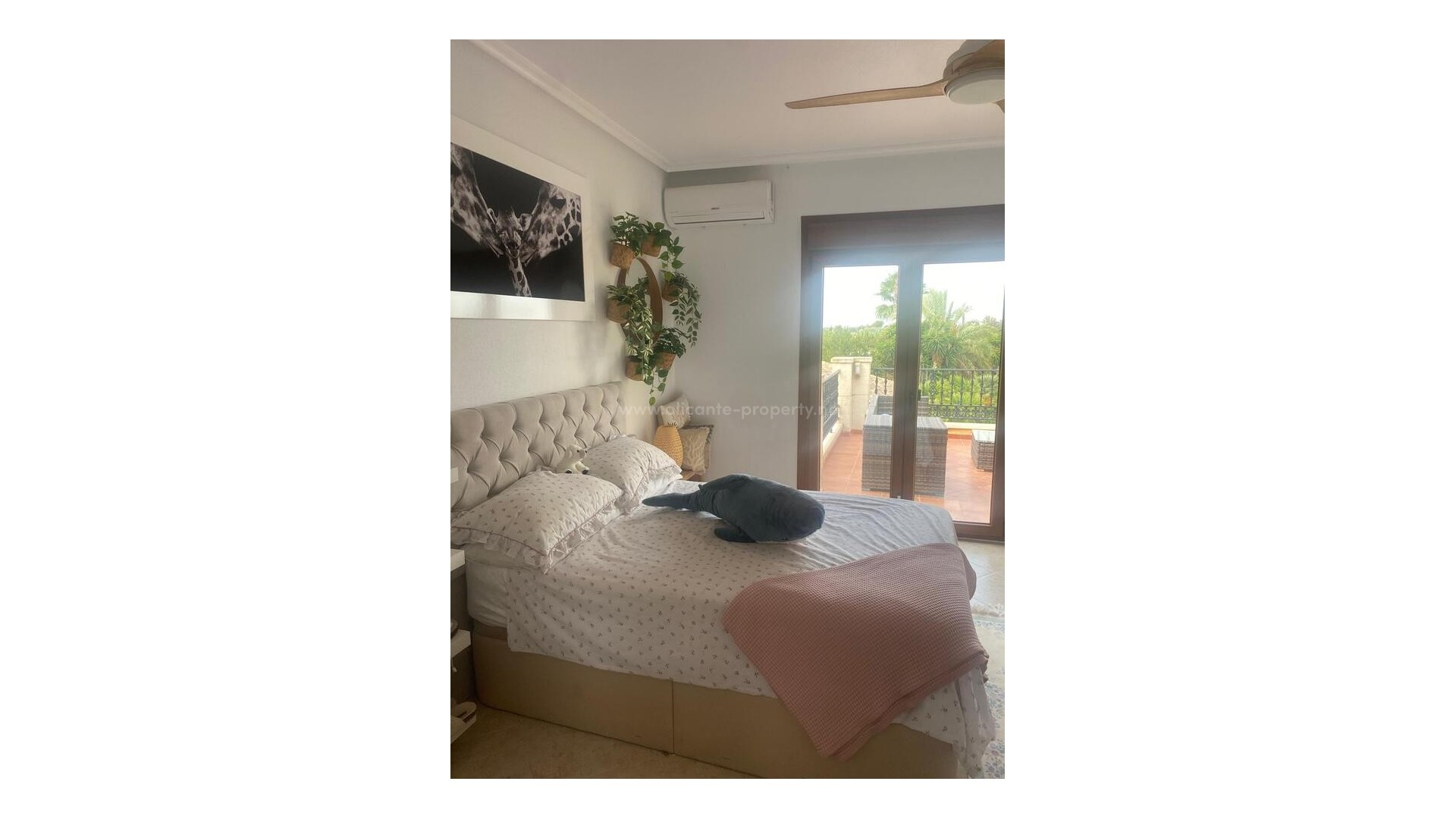 Country House in Orihuela Centro