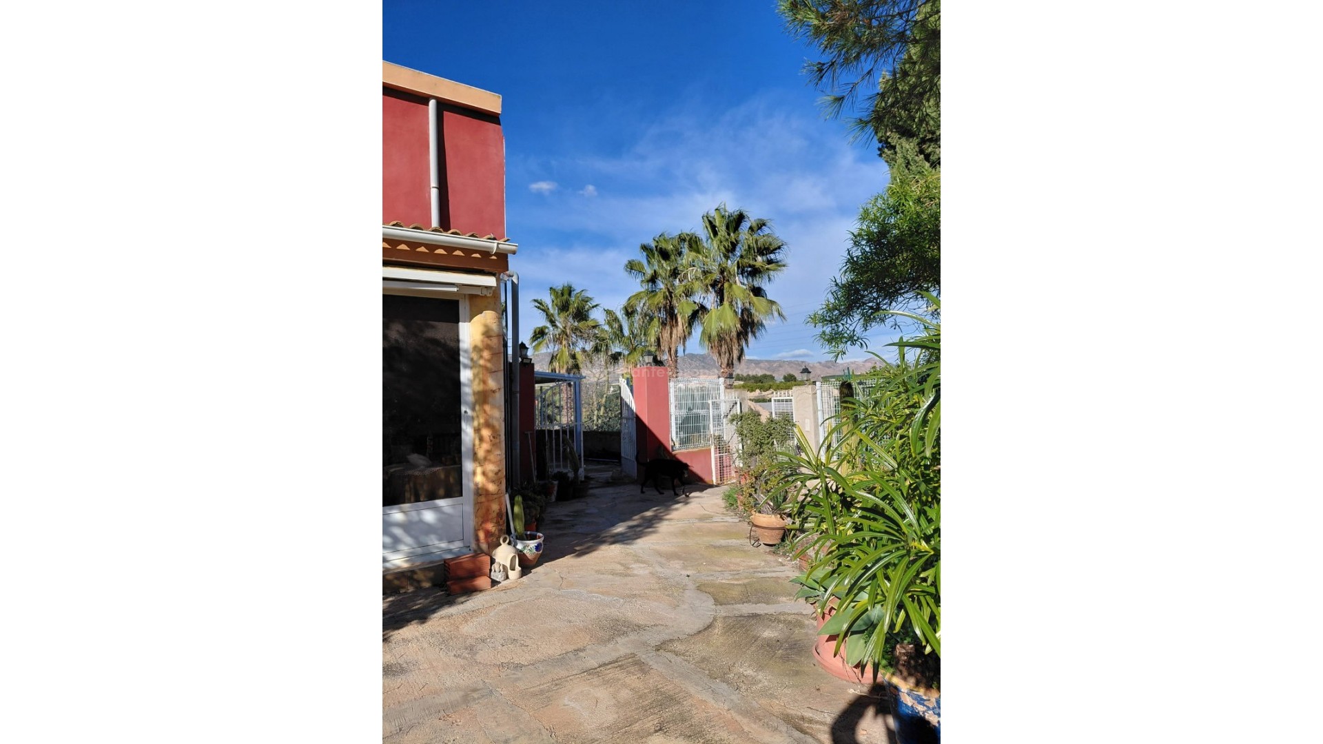 Country House in Orihuela Centro