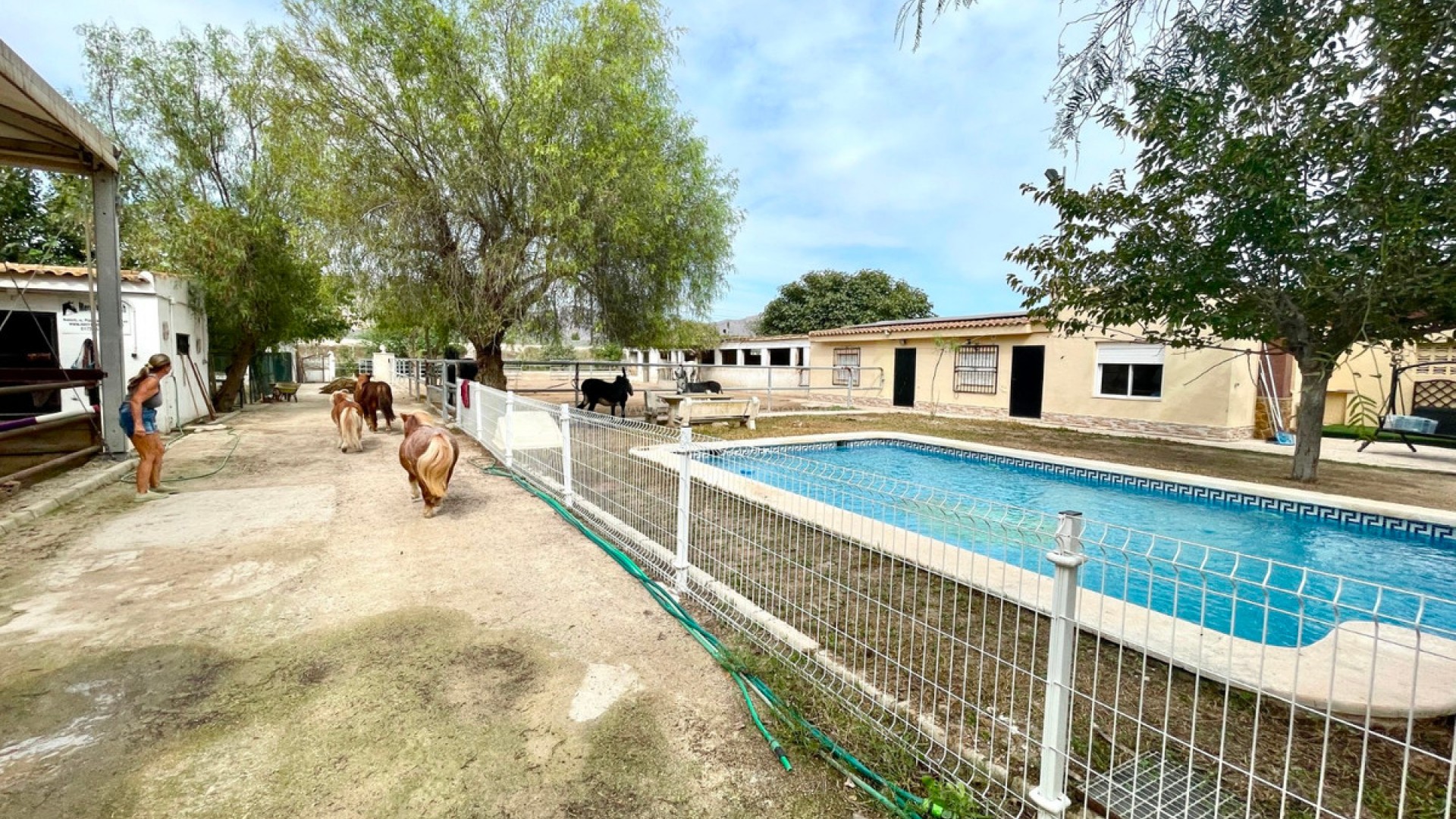 Country House in Orihuela Centro