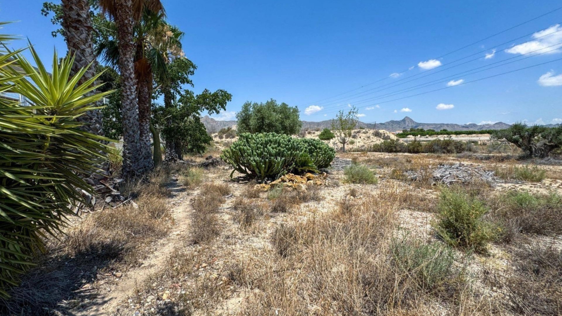 Country House in Orihuela Centro