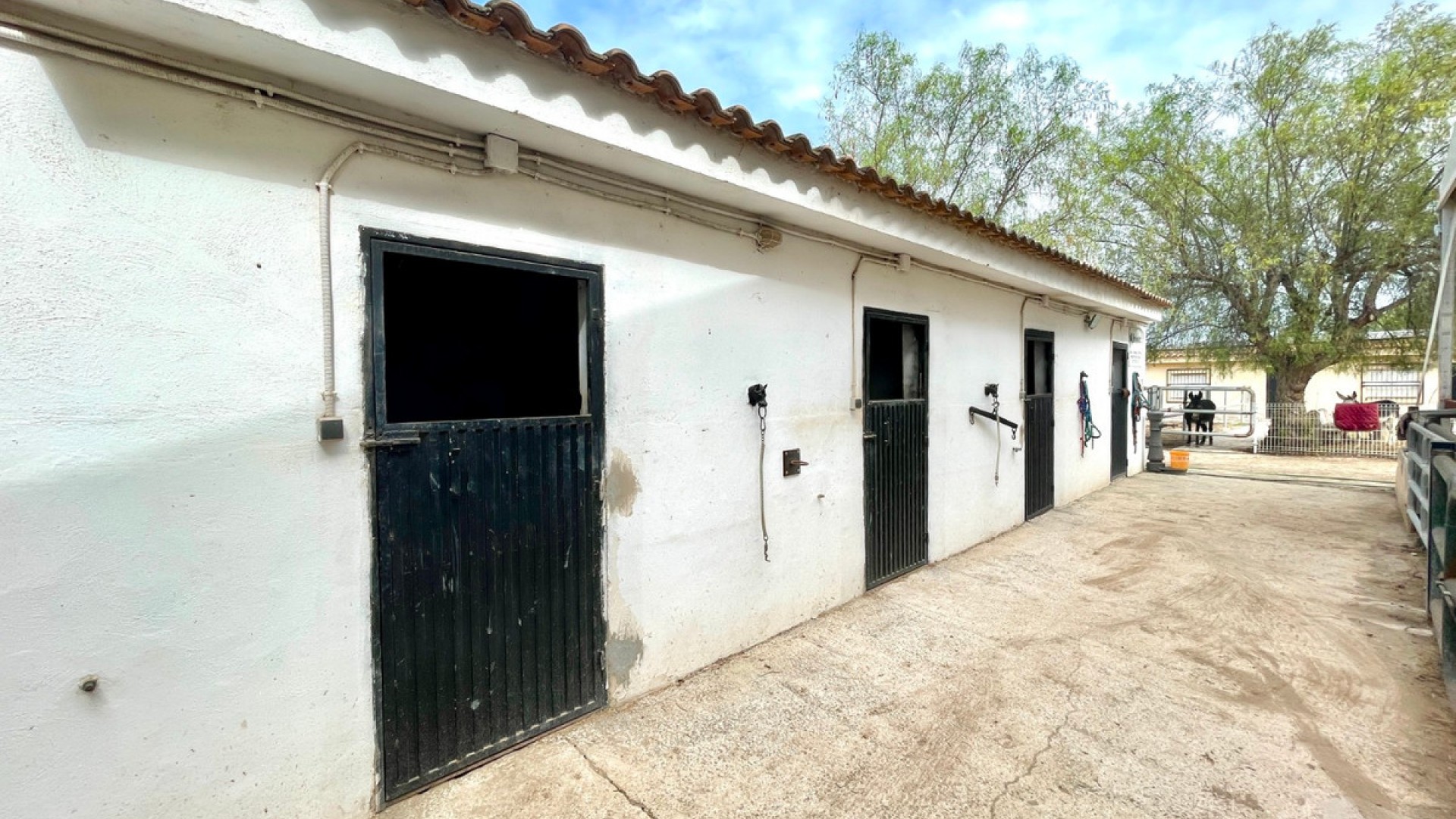 Country House in Orihuela Centro