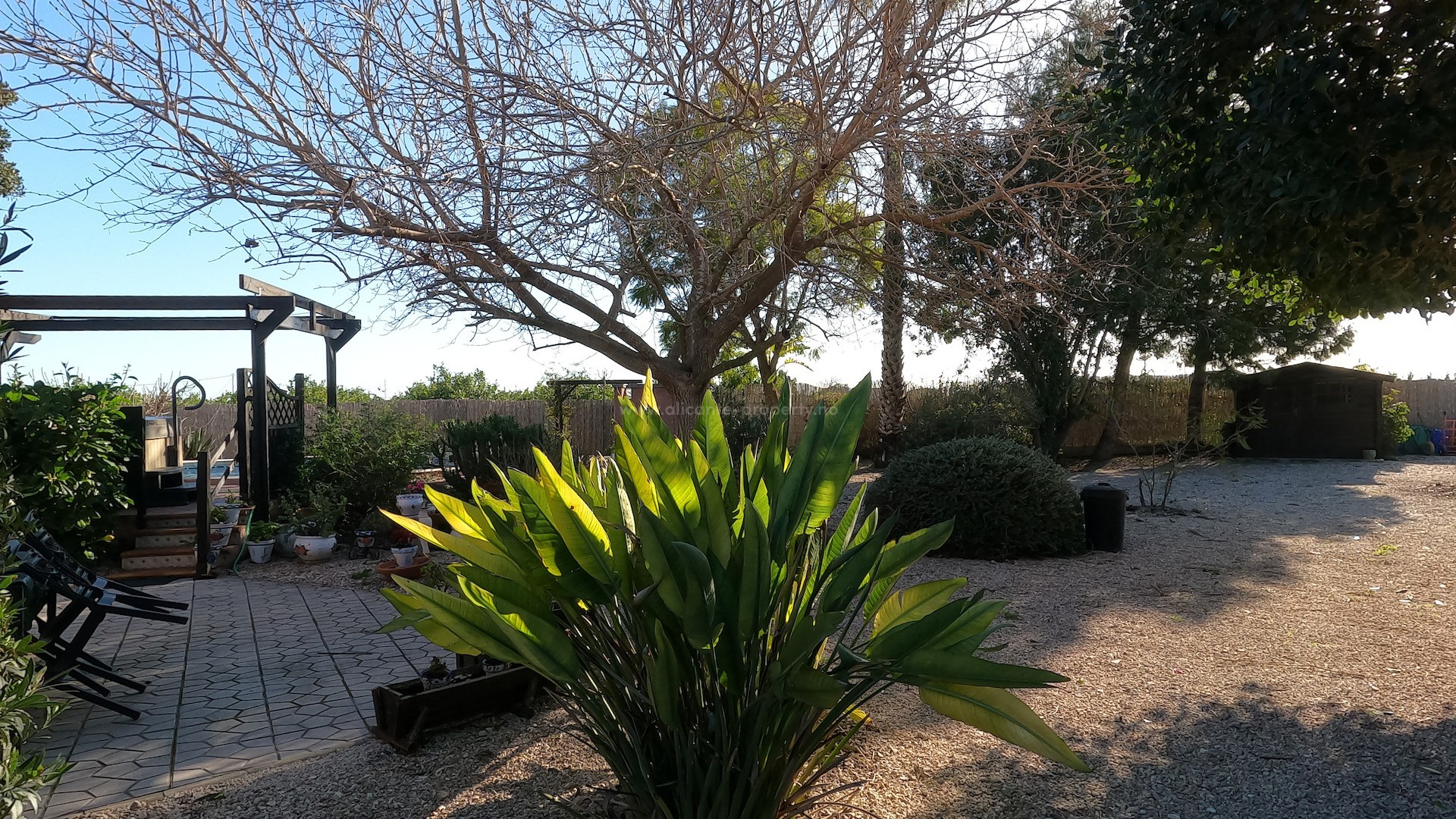 Country House in Orihuela