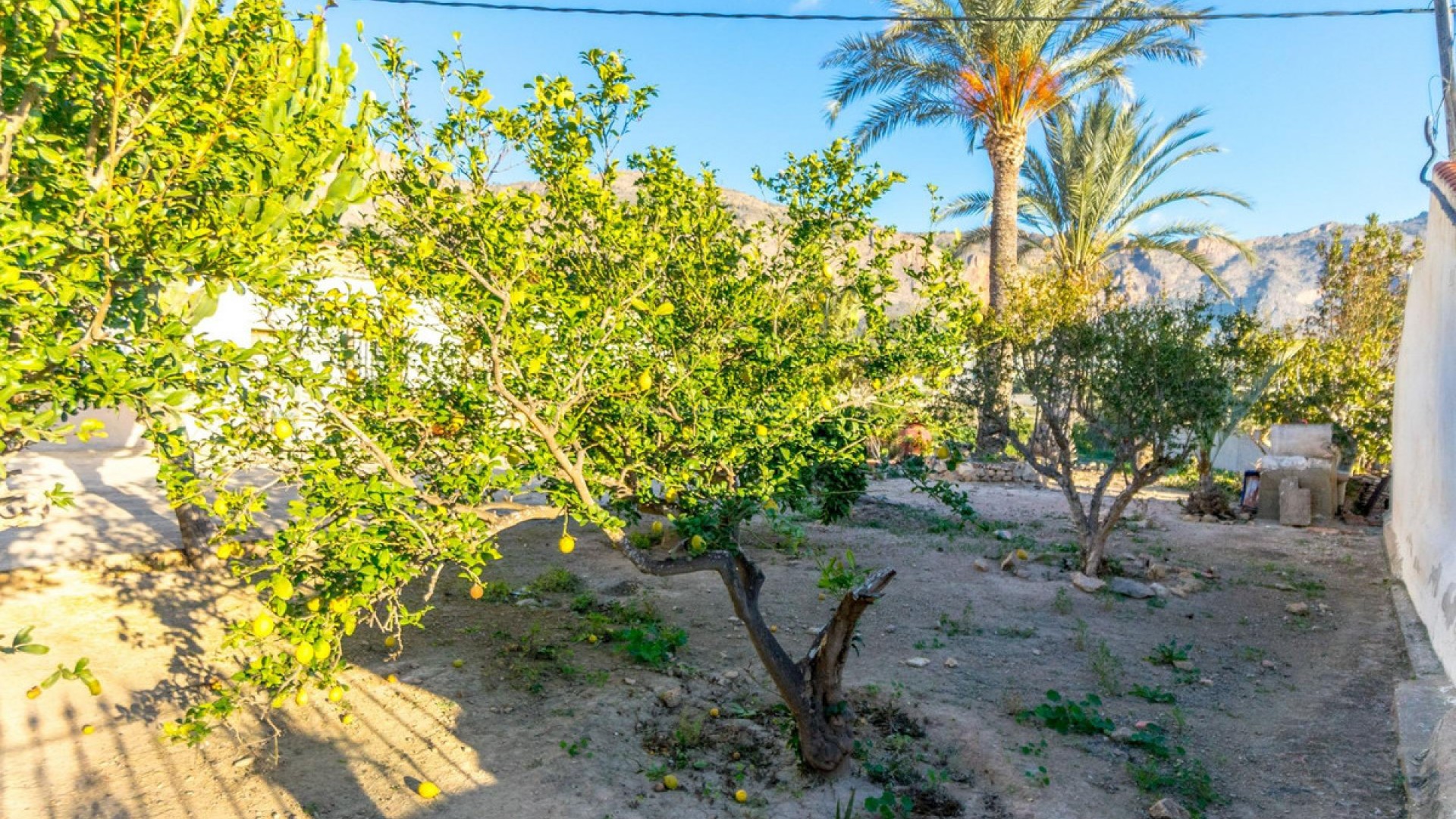 Country House in Orihuela