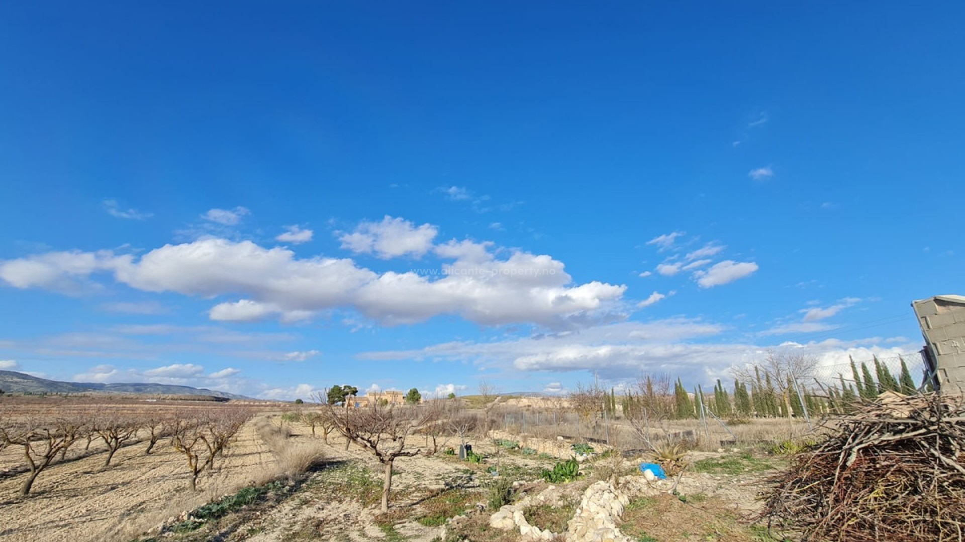 Country House in Pinoso Centro