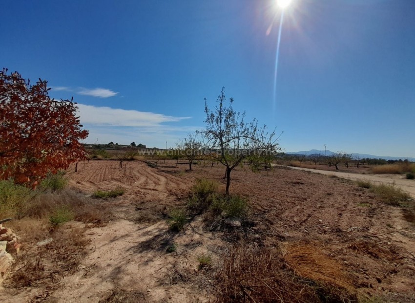 Country House in Pinoso Centro