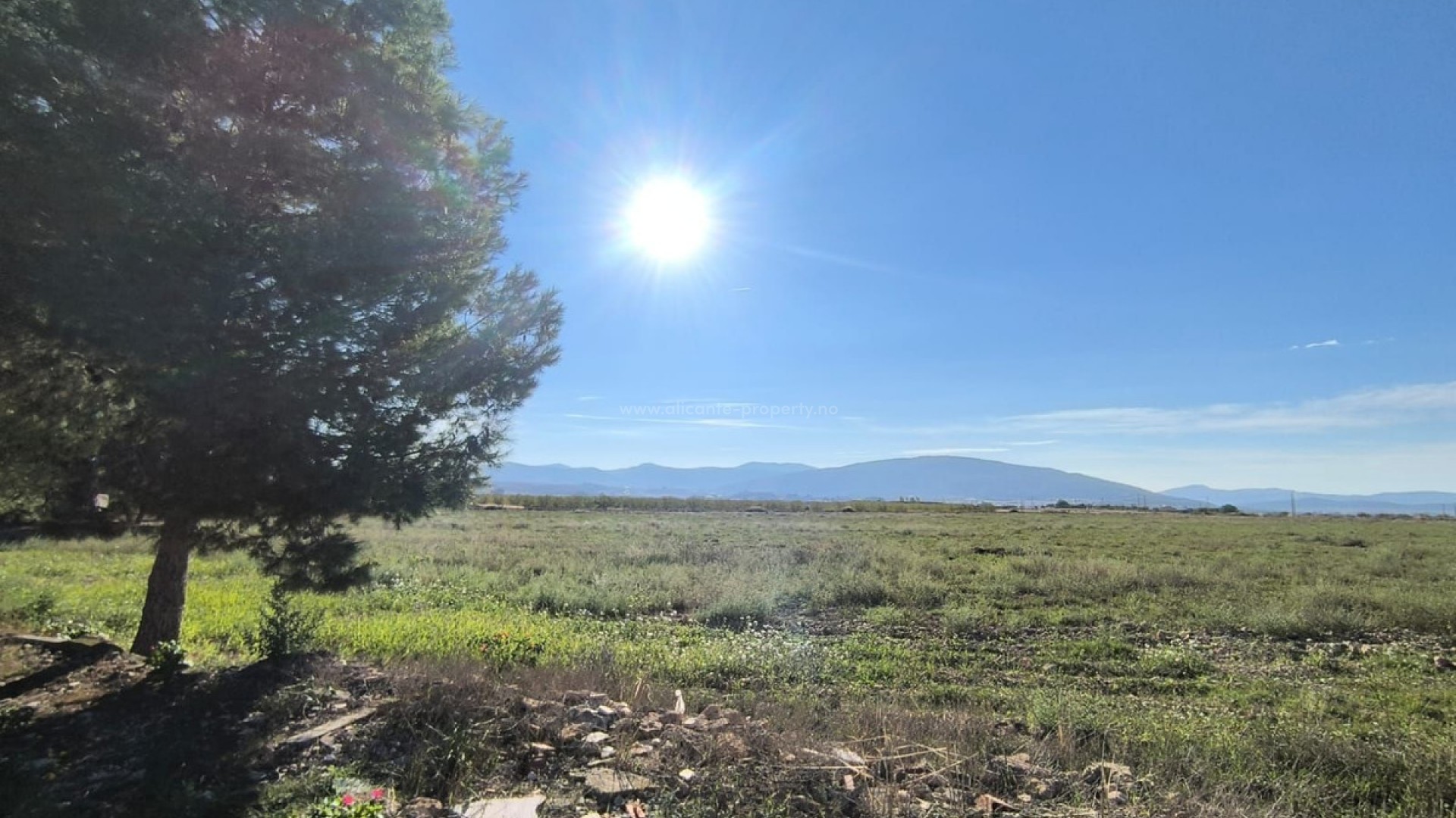 Country House in Pinoso Centro