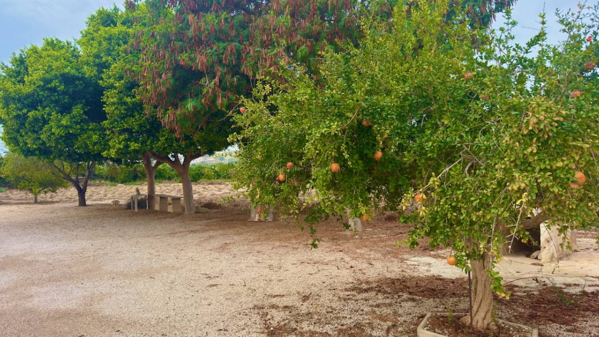 Country House in Rojales