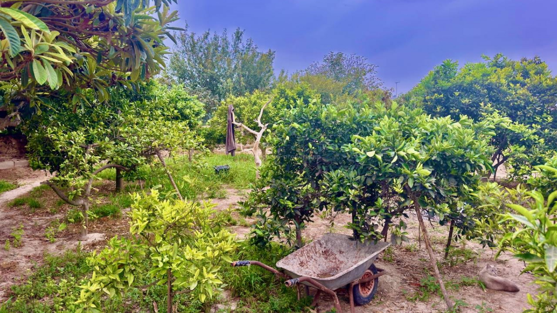 Country House in Rojales