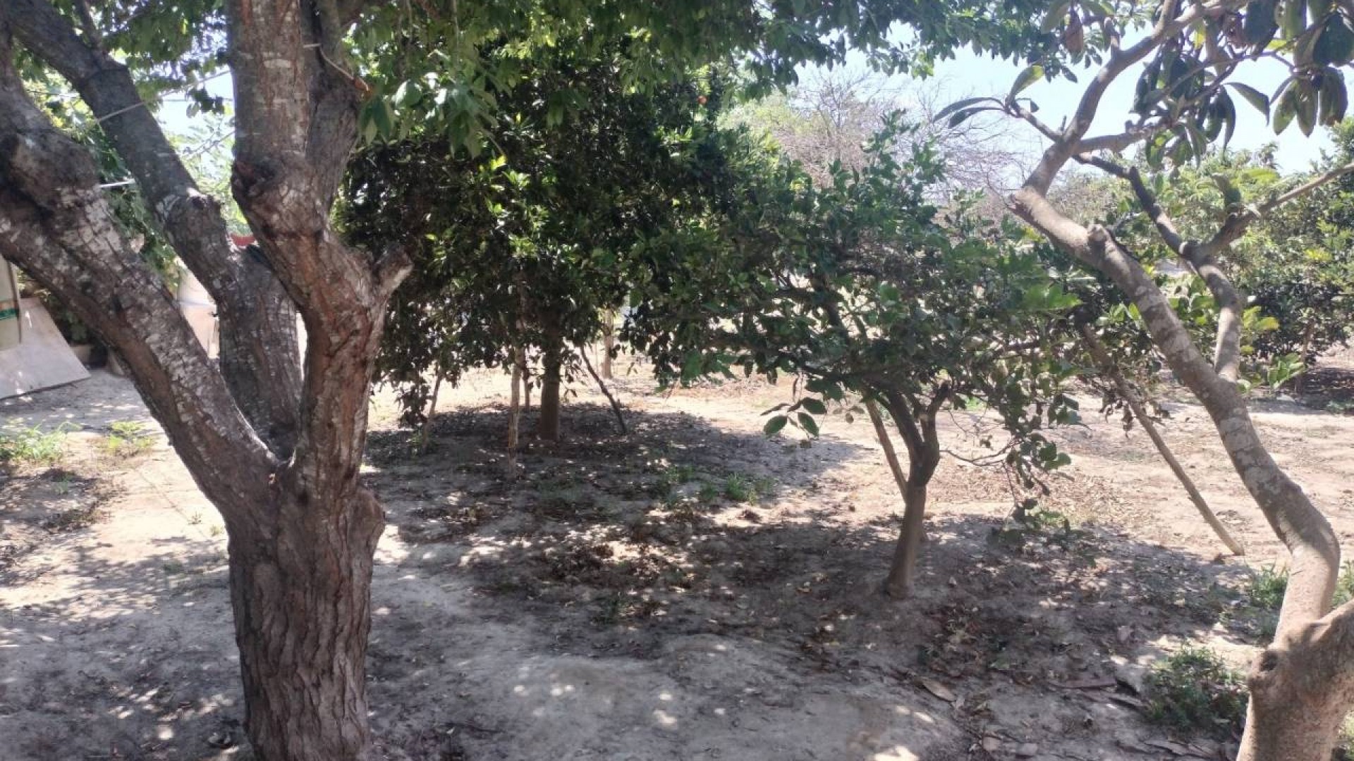 Country House in Rojales