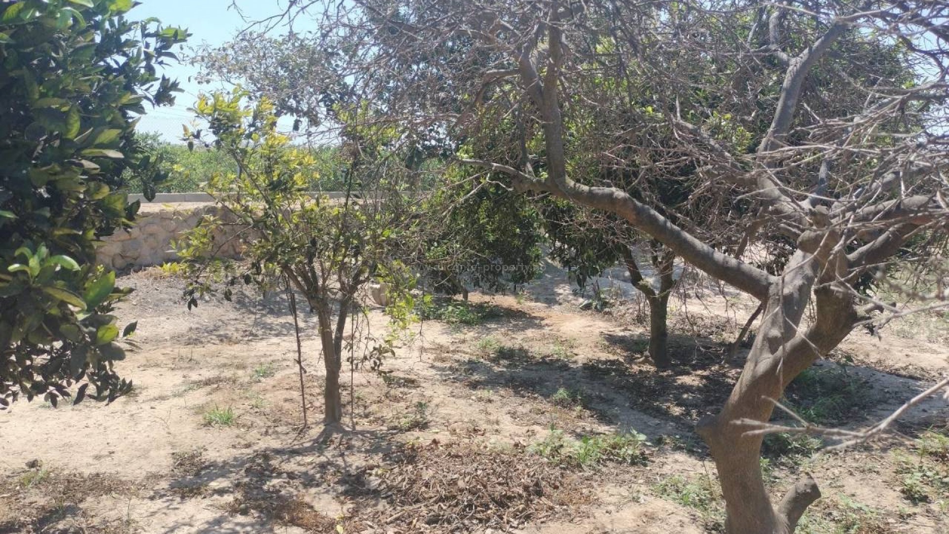 Country House in Rojales