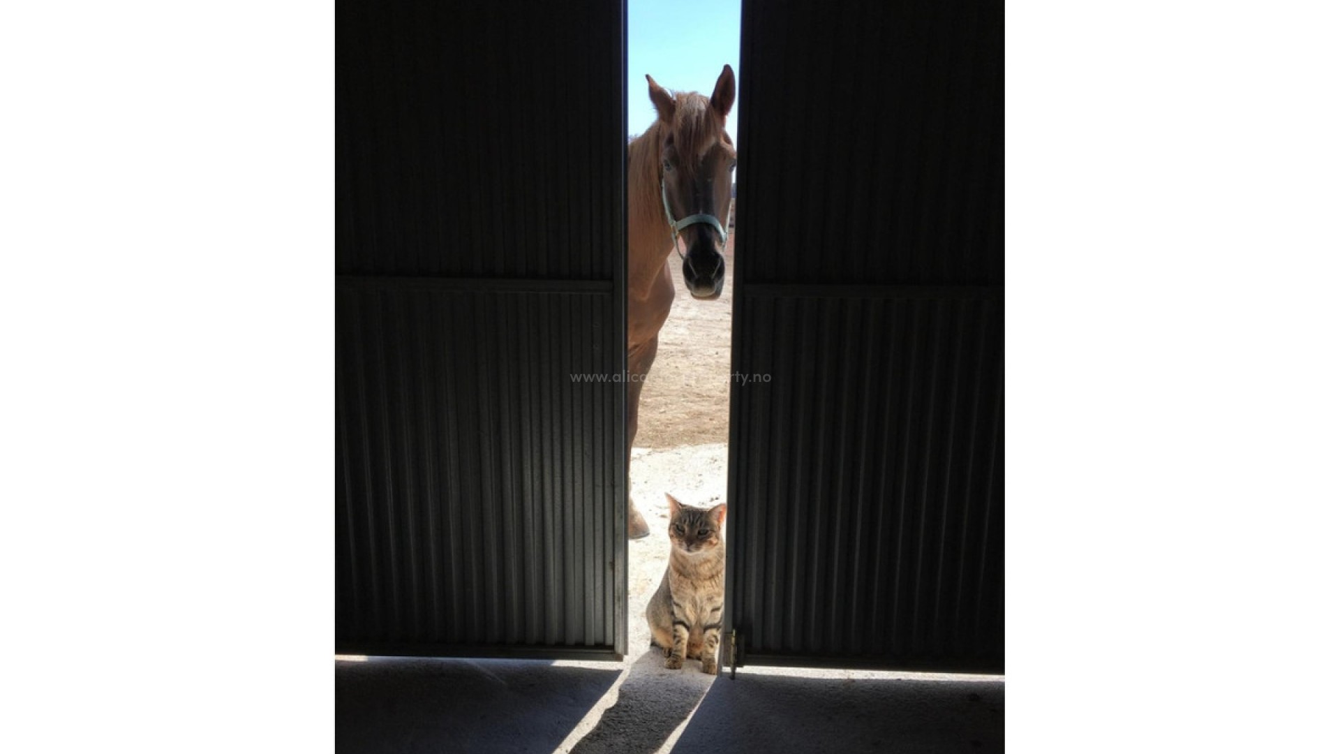 Country House in Torre del Rico