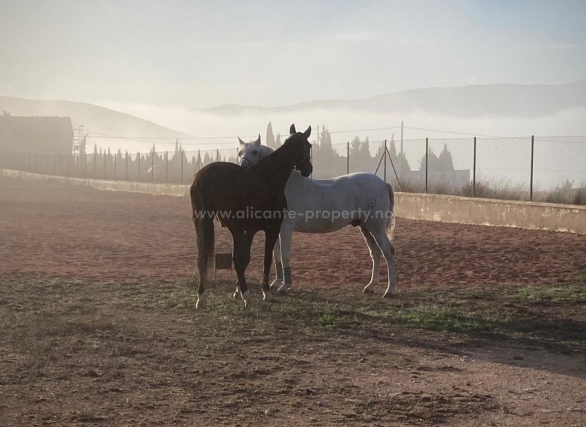 Country House in Torre del Rico