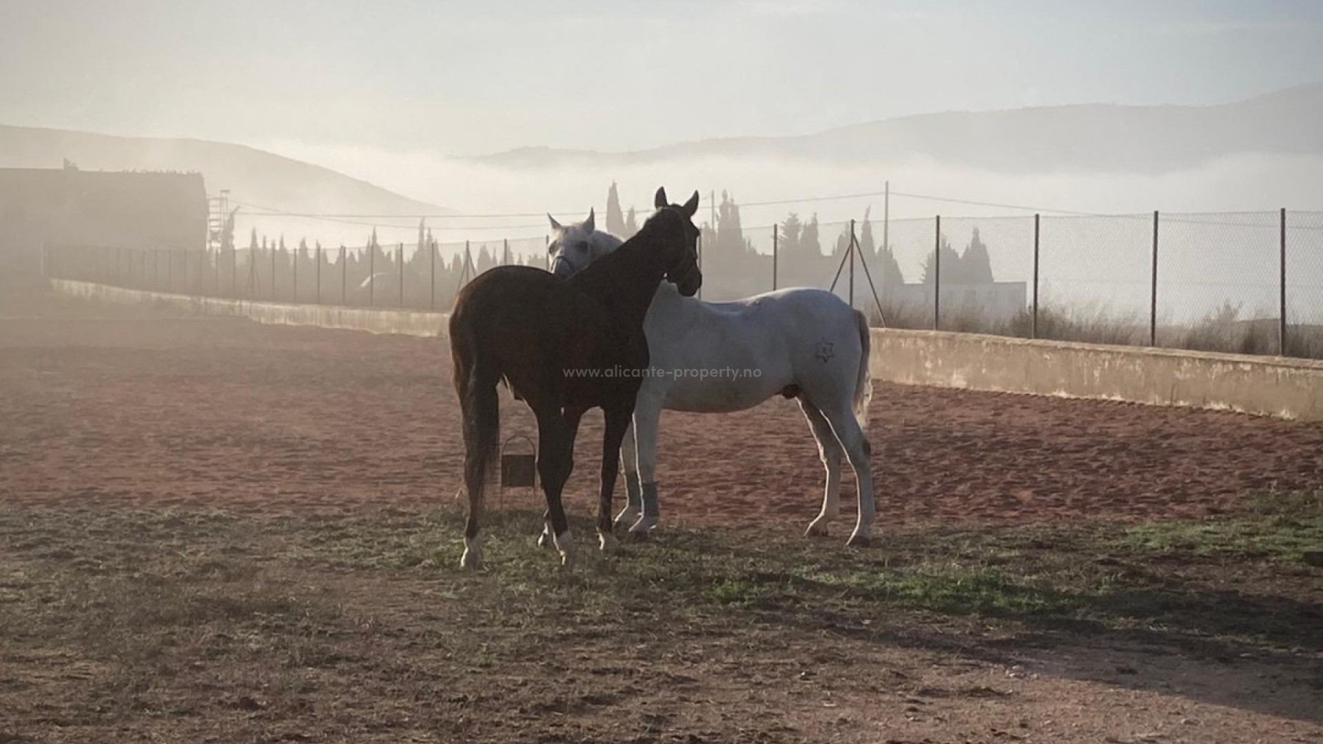 Country House in Torre del Rico