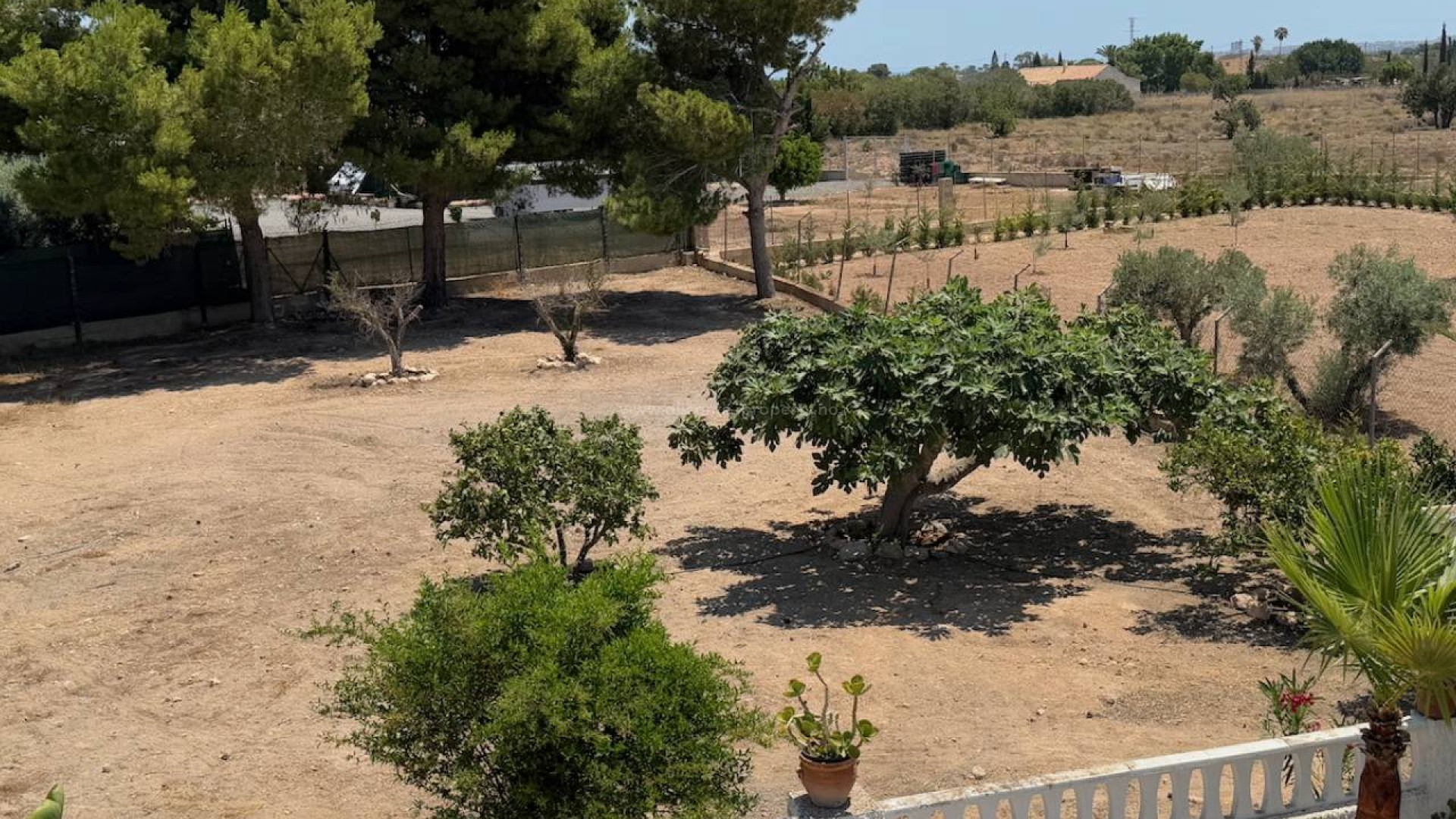 Country House in Torrellano