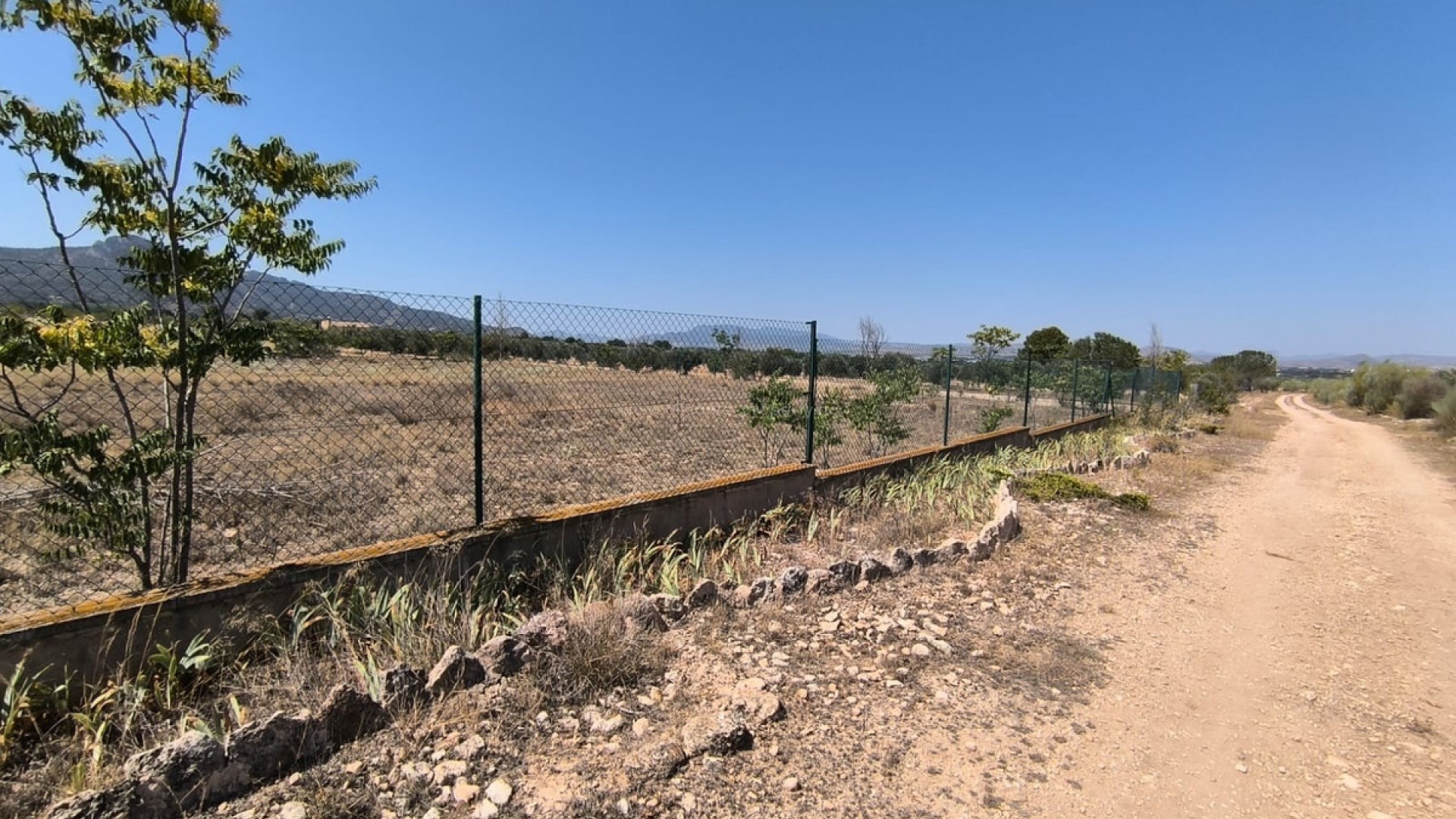 Country House in Villena Centro