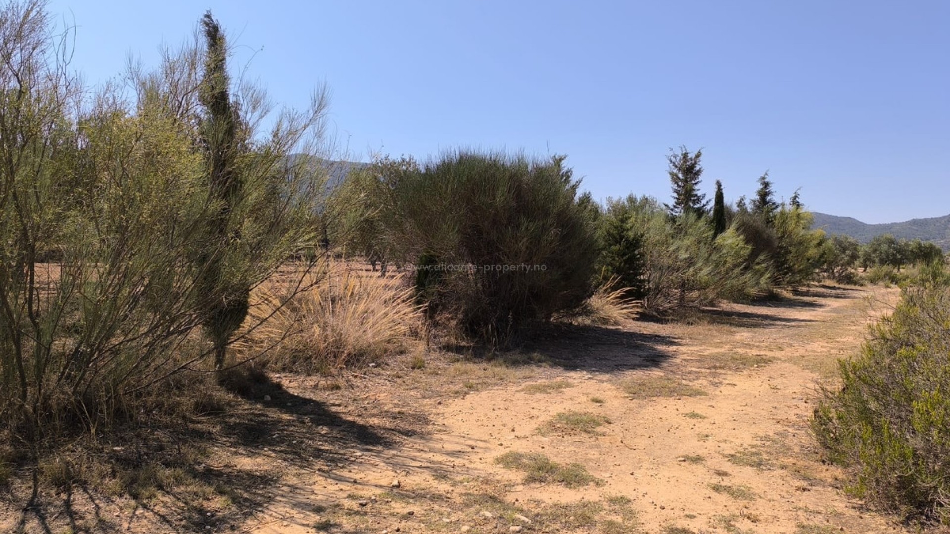 Country House in Villena Centro