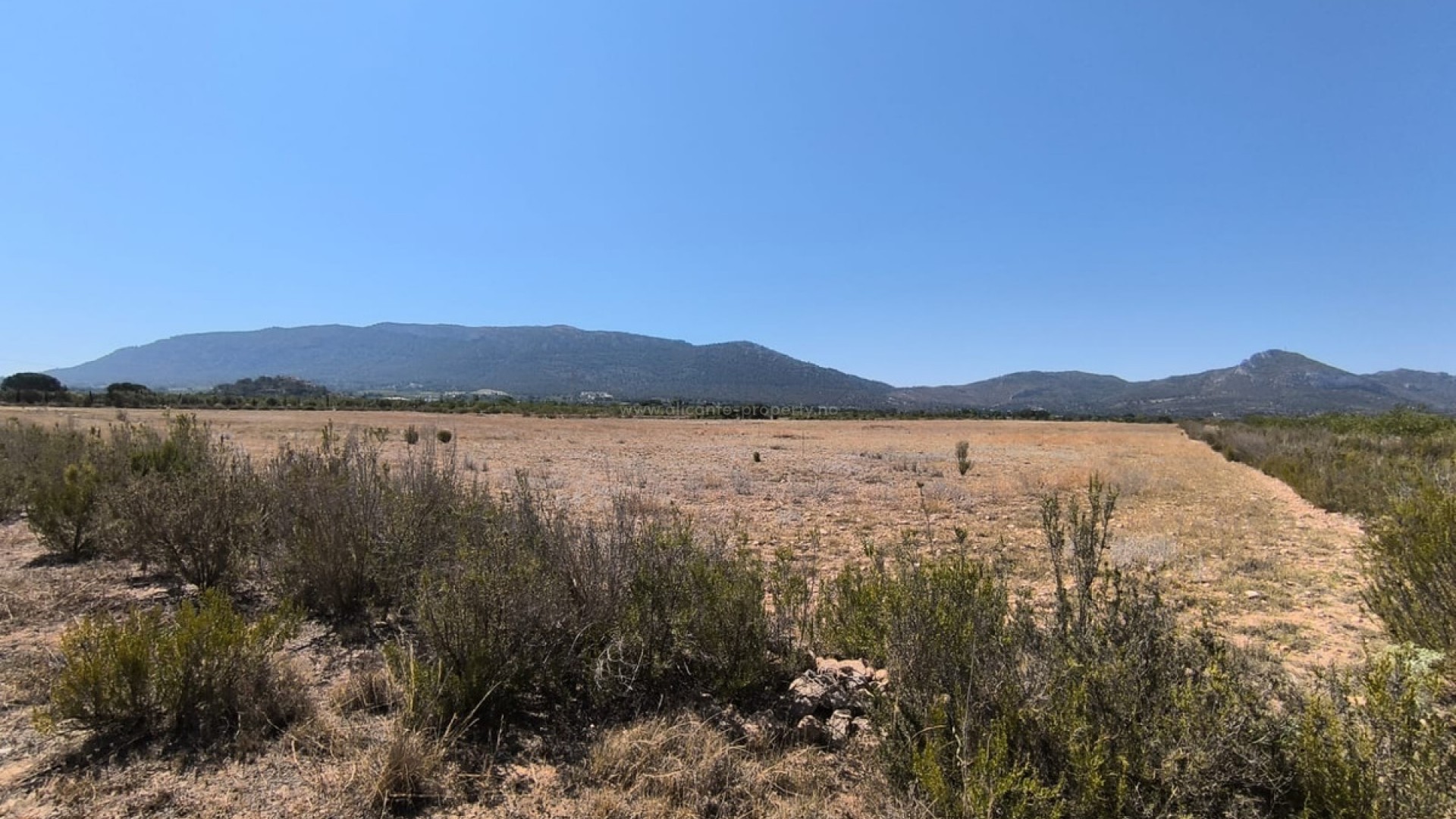 Country House in Villena Centro